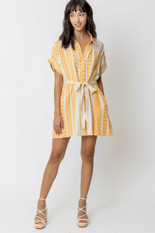 Sunny, Thank You for the Sunshine Dress